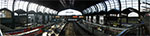 CIMG9205-pan.jpg