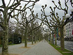 CIMG9254.jpg