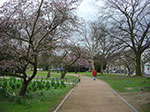 CIMG9265.jpg