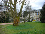 CIMG9267.jpg