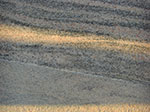 CIMG9335.jpg