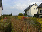 CIMG9409.jpg