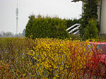 CIMG9412.jpg