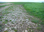 CIMG9459.jpg
