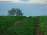 CIMG9460.jpg