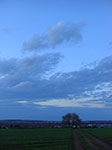 CIMG9463.jpg