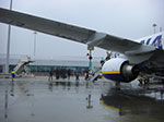 CIMG9542.jpg