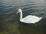 CIMG9643.jpg