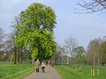 CIMG9650.jpg