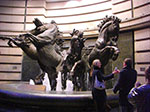 CIMG9776.jpg