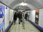 CIMG9855.jpg