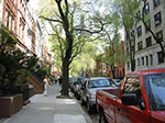 CIMG9904.jpg
