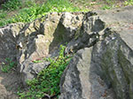 CIMG9913.jpg