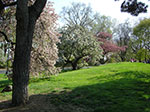 CIMG9945.jpg