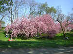 CIMG9949.jpg