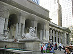 CIMG9999-CIMG0003.jpg