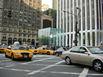CIMG9999-CIMG0038.jpg