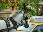 CIMG9999-CIMG0047.jpg