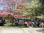 CIMG0108.jpg