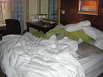 CIMG0309.jpg