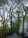 CIMG0316.jpg