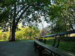 CIMG0317.jpg