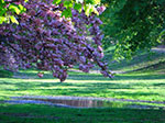 CIMG0321.jpg