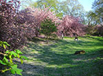 CIMG0322.jpg