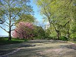 CIMG0327.jpg