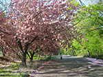 CIMG0330.jpg