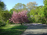 CIMG0332.jpg