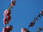 CIMG0335.jpg