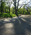 CIMG0339-pan.jpg