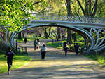 CIMG0342.jpg