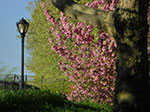 CIMG0358.jpg