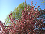 CIMG0369.jpg