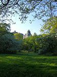 CIMG0377.jpg
