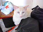CIMG0398.jpg