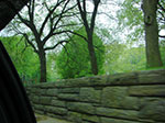 CIMG0549.jpg