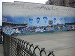 CIMG0575.jpg