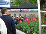CIMG0599.jpg