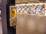 CIMG0730.jpg