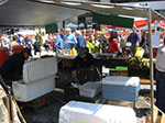 CIMG0767.jpg