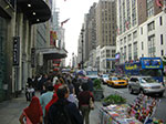 CIMG0788.jpg