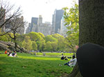 CIMG0816.jpg