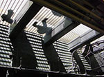CIMG0870.jpg