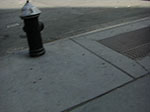 CIMG0879.jpg