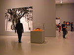 CIMG0896.jpg