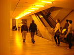 CIMG0899.jpg