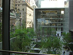 CIMG0901.jpg